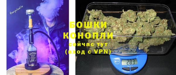 эйфоретик Магас