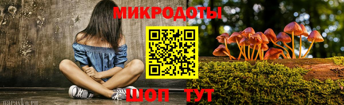 Меф Долгопрудный