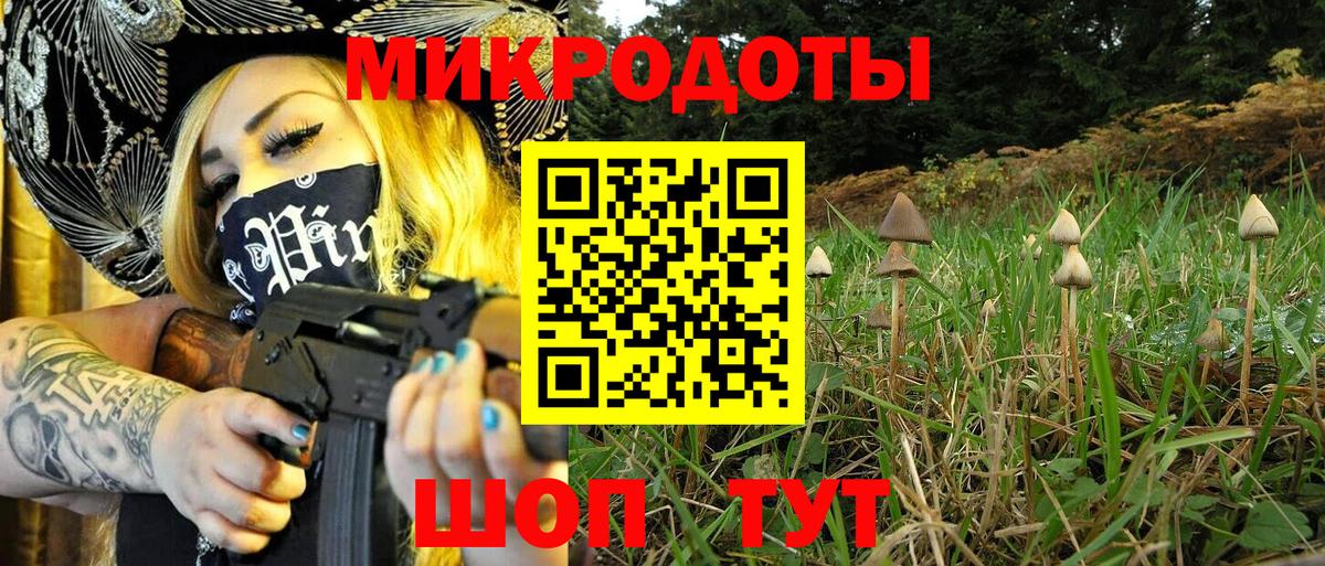 Галлюциногенные грибы прущие грибы Долгопрудный