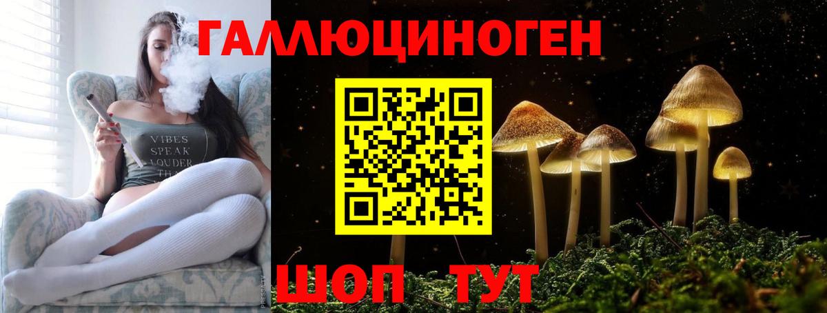 Долгопрудный  Псилоцибиновые грибы GOLDEN TEACHER  как найти закладки  Вход с VPN 