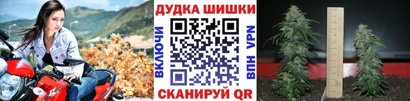 Бошки Шишки SATIVA & INDICA  Долгопрудный 